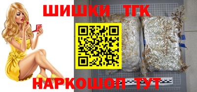 МДПВ Славгород