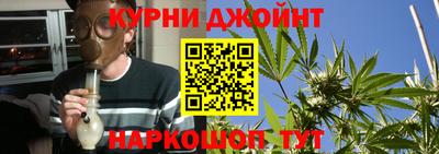 прущие грибы Славянск-на-Кубани