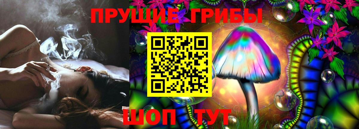 Псилоцибиновые грибы Cubensis Александров
